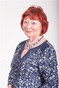 Profile image for Councillor Liz Hardman